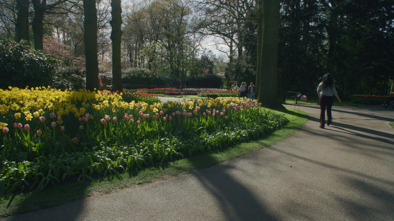 Nedjelja, 1. veljače na Prvom, Foto: Vrtlarica/6. sezona emisije