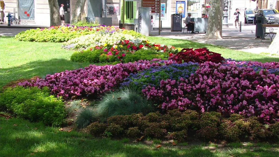 Zrinjevac