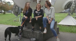 Na HRT-u premijerno dokumentarni serijal "Udomi me", Foto: Press/HRT