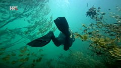 Jezero Ponikve očarava iznad i ispod površine, Foto: HTV/HRT