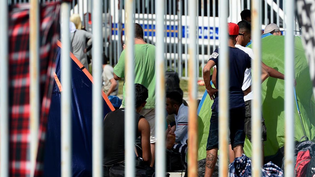 pxl 170915 11633513 20260331054923