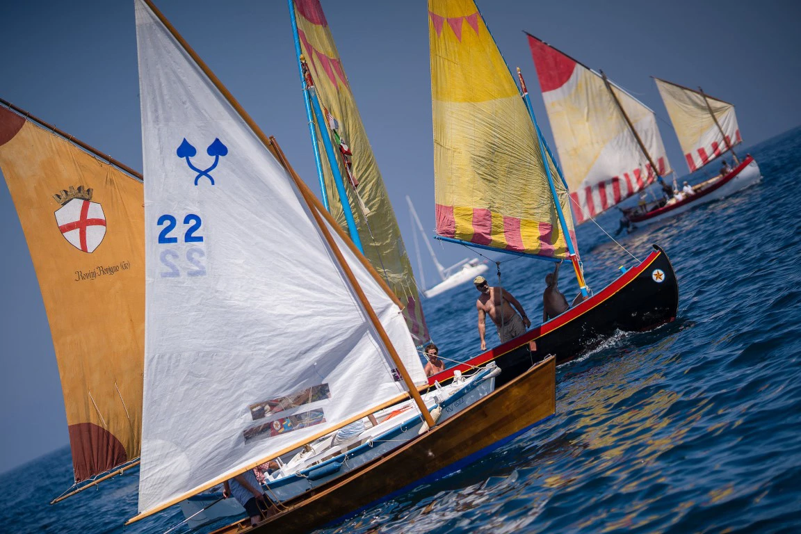 Rovinjska regata