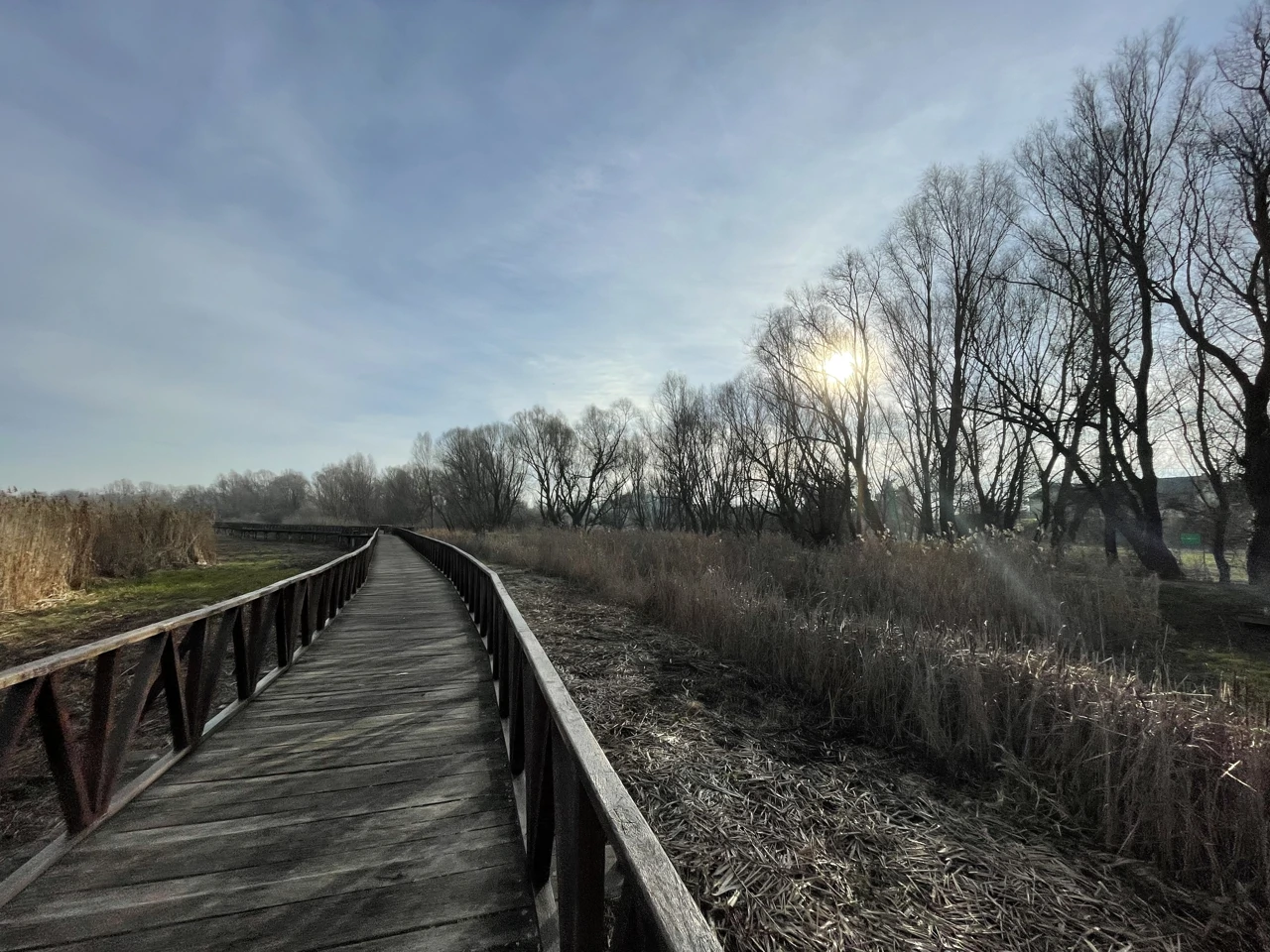 Šetnica Bijelog lopoča, Foto: Ana Mitar Šimić/Radio Osijek