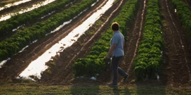 Ponedjeljak, 11. studenog na Prvom , Foto: Dulum zemlje/3. sezona