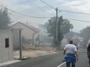 Hreljin, Foto: Boris Kanazir/HRT