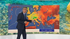 Zoran Vakula