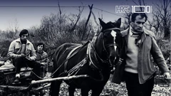 Kuda idu divlje svinje, Foto: RTV Zagreb/promo