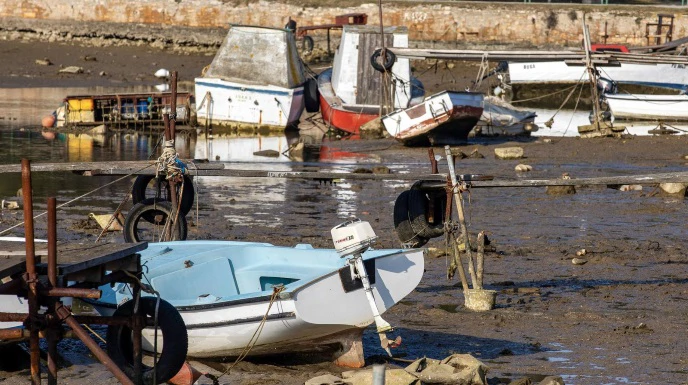 Velika oseka u lučici Valbandon, Foto: Srecko Niketic/PIXSELL