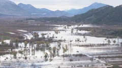 Poplavljena polja kod Vrgorca