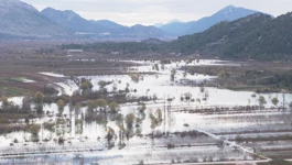 Poplavljena polja kod Vrgorca