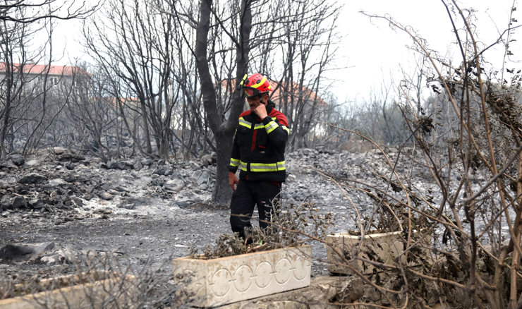 Grebaštica tri godine nakon katastrofe: Zarasle okućnice i dalje hrane požare