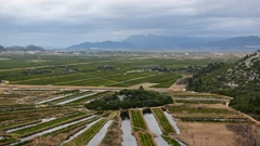 Delta Neretve