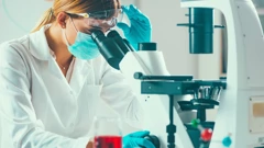 Većina ljudskih mozgova sada sadrži žlicu plastike
