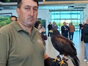 Prikaz sokolarenja, Foto: Neven Knežević/HRT Radio Osijek