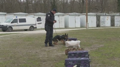 S obuke potražnih pasa u vojarni kod Dugog Sela, Foto: HTV/HRT