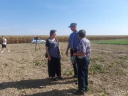 Dan polja kukuruza, soje i suncokreta, Foto: M.Milas/Radio Osijek