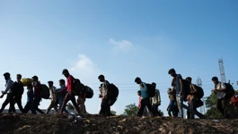 Ilegalni migranti 