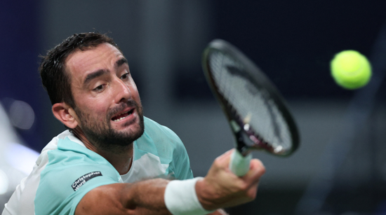 Marin Čilić  