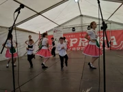 Rasplesana kulturno-umjetnička društva u Lugu, Foto: Vjekoslav Madunić/osobna arhiva