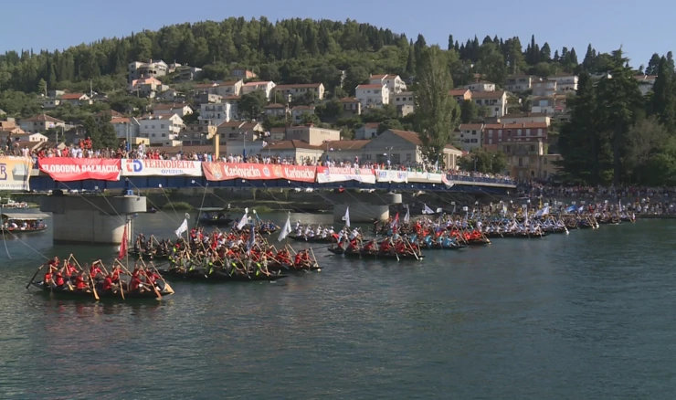 Završne pripreme za najpoznatiju veslačku utrku u Hrvatskoj