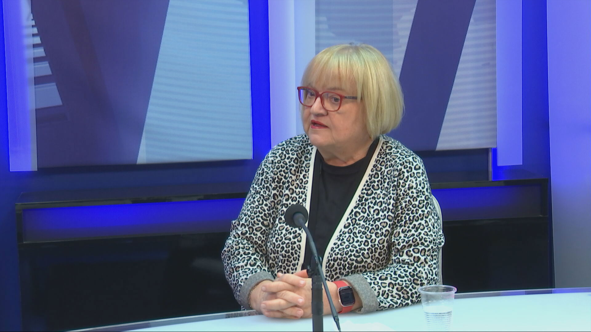 oporbeni zarez frame 24502 20251208150700