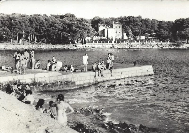 Veli mul - 1964. godina