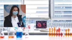 Epidemija koronavirusa 