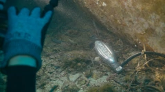 Štuka, Foto: Igor Goić/MCPA