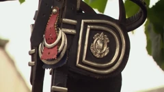 Nedjelja, 22. ožujka na Prvom, Foto: Čovjek i konj/HRT