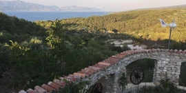 Sutivan, Foto: Pogled na maslinike Vinke i Mice ponad Sutivana prema Bračkom kanalu (Foto:Tatjana Rau/Glas Hrvatske)/-