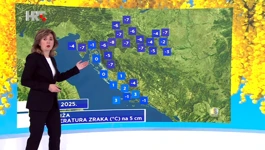 Dunja Plačko-Vršnak