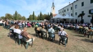 Rijeka: Blagdan Velike Gospe na Trsatu