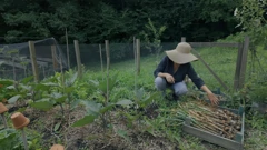 Nedjelja, 8. veljače na Prvom, Foto: Vrtlarica/6. sezona emisije