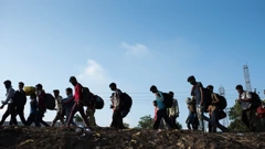 Migrantska kriza