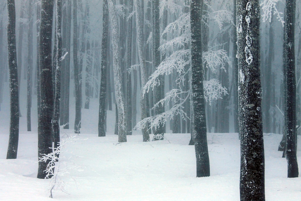 Horizonti spokoja, Foto: Ivo Vičić/-
