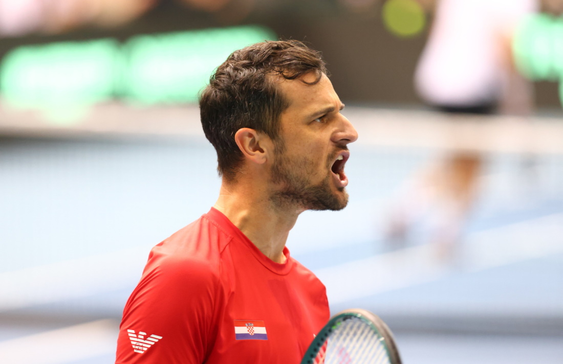 pavic mate 20250324212425