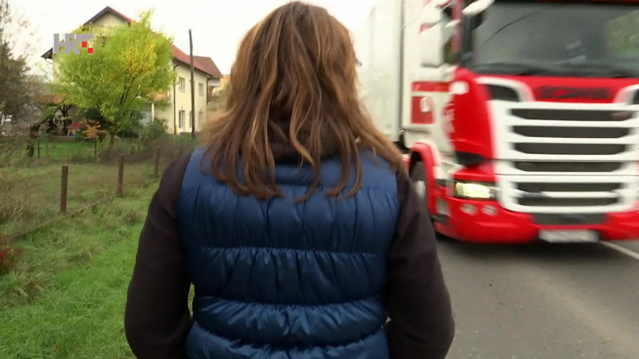 Cesta smrti u Lučkom, Labirint, 14.12.2021.