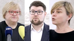 Anka Mrak Taritaš, Peđa Grbin, Sandra Benčić