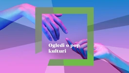 Ogledi o pop kulturi