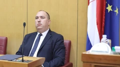 Tomislav Dulibić