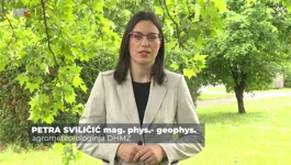 Petra Sviličić