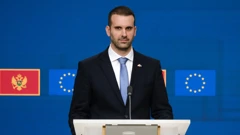 Milojko Spajić
