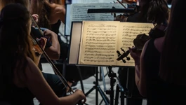 DSO