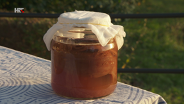 Fermentacija