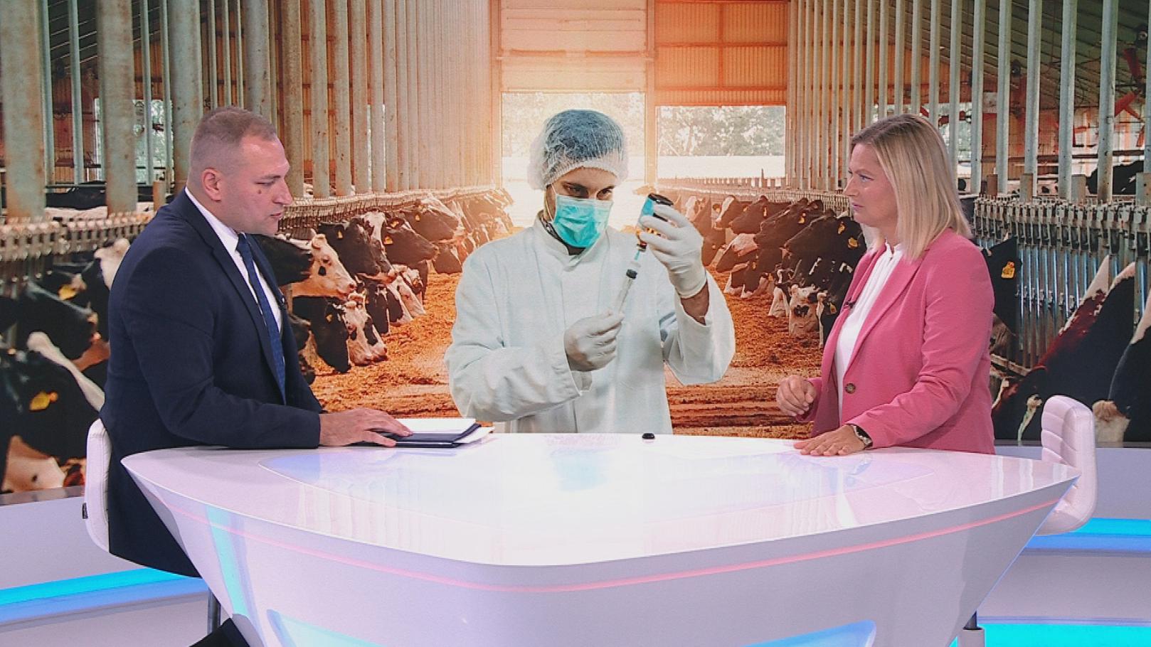Vlajčić wird mit Viehzüchtern sprechen, sobald epidemiologische Bedingungen geschaffen sind 2 vlajcic1231 20250719171559