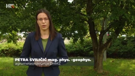 Petra Sviličić