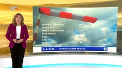 Dunja Plačko-Vršnak