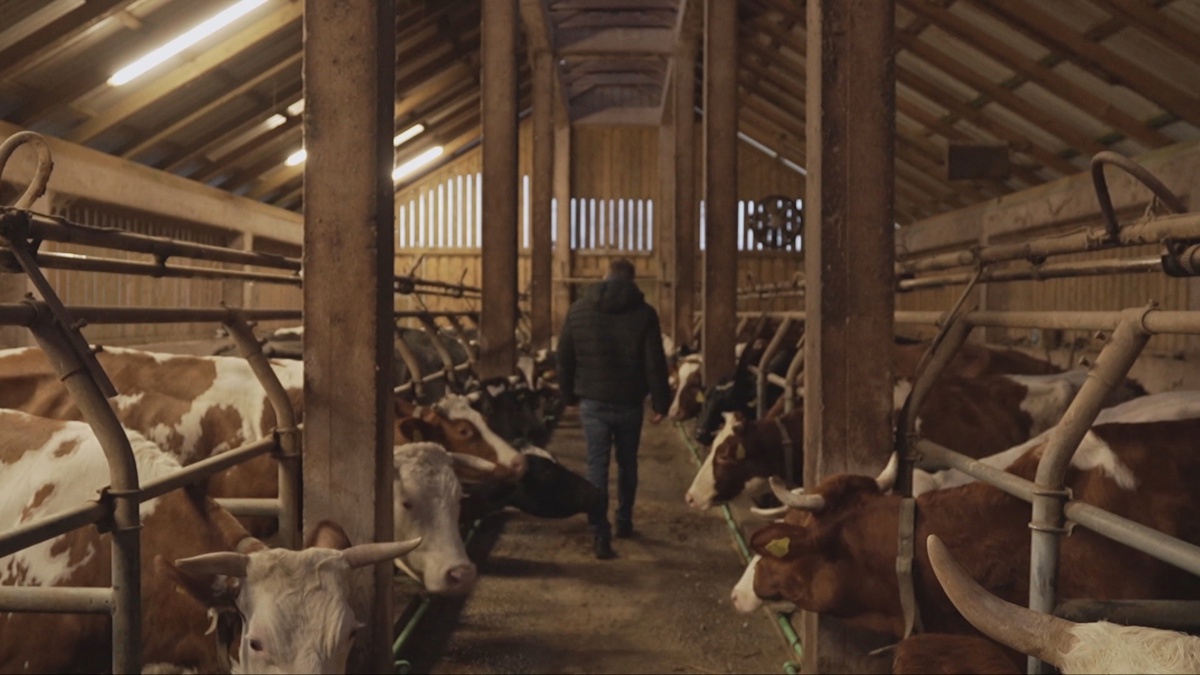 090326 odp ddok labirint mlijeko final frame 25937 20260307201928