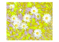 Viktor Branđolica: Europa, Foto: Glas Hrvatske/HRT