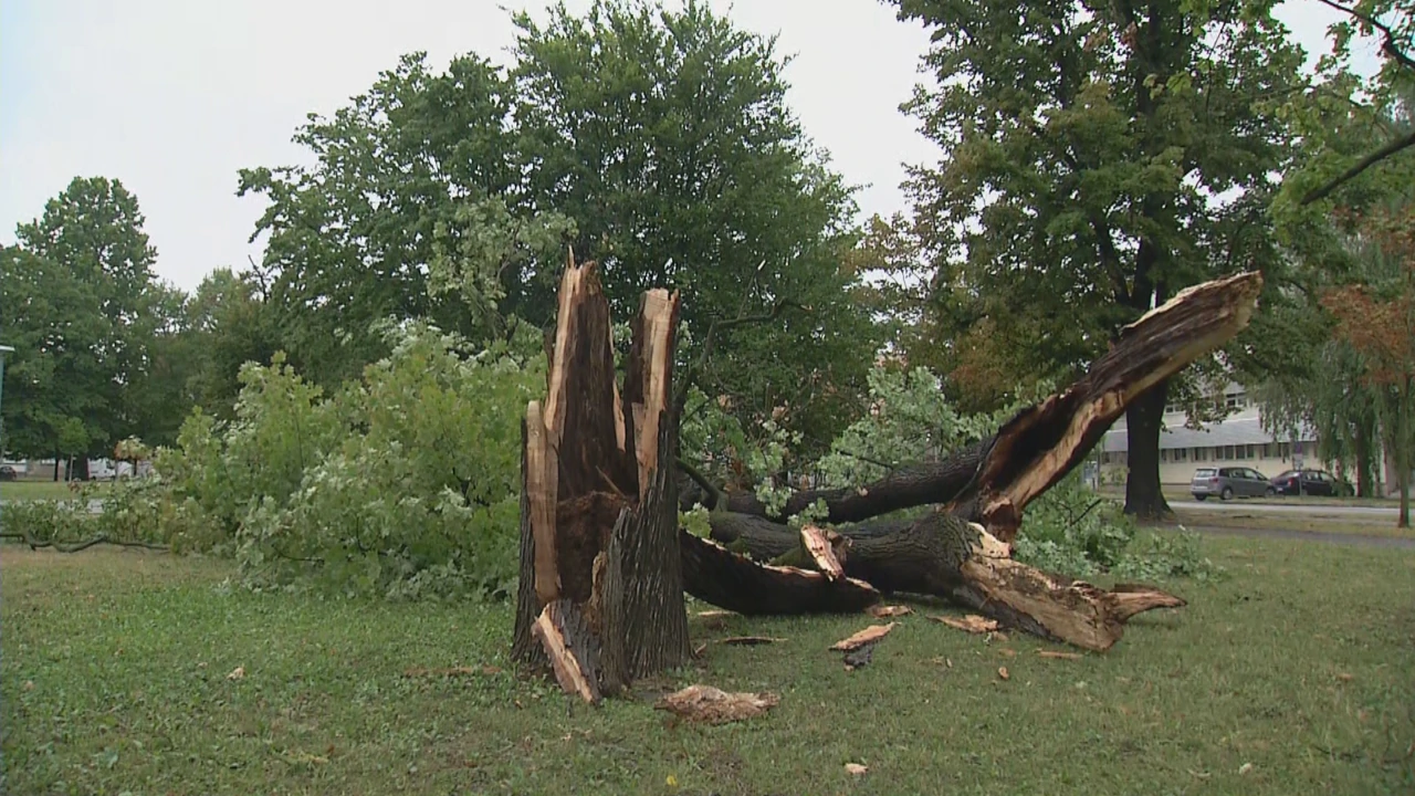 Osijek, Foto: HTV/HRT